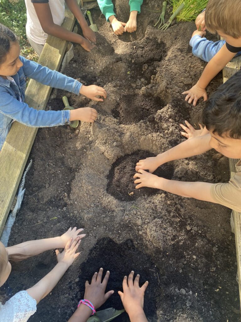 Das Hochbeet wird für die Tomatenpflanzen vorbereitet
