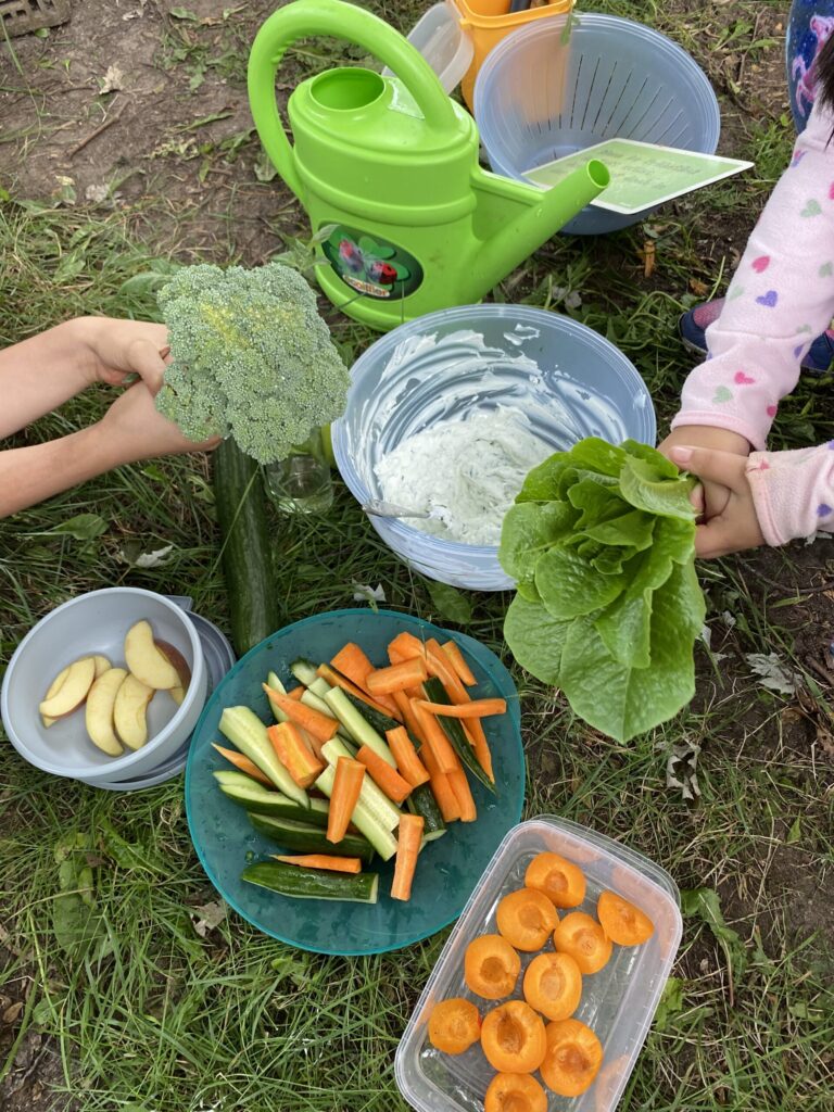 Wir ernten Gemüse und Kräuter und machen selber Kräuterquark 1